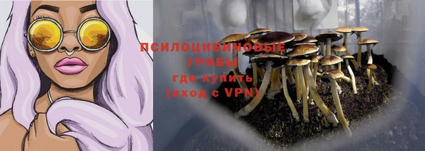 МДПВ Алексин
