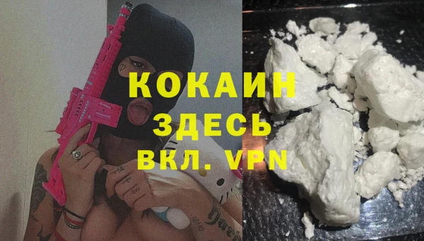 МДПВ Алексин