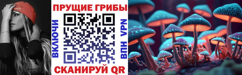 купить наркотик Копейск Псилоцибиновые грибы MAGIC MUSHROOMS